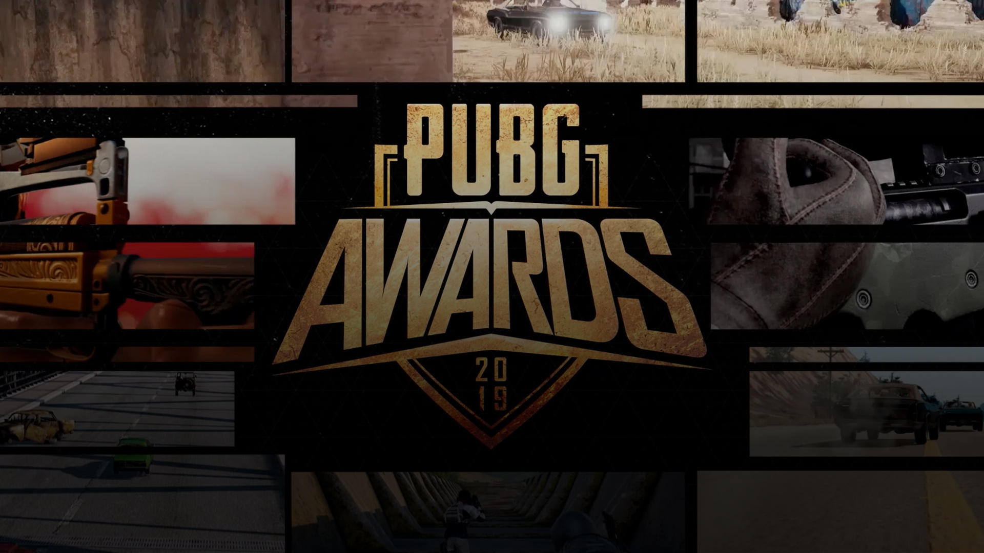 PUBG Awards